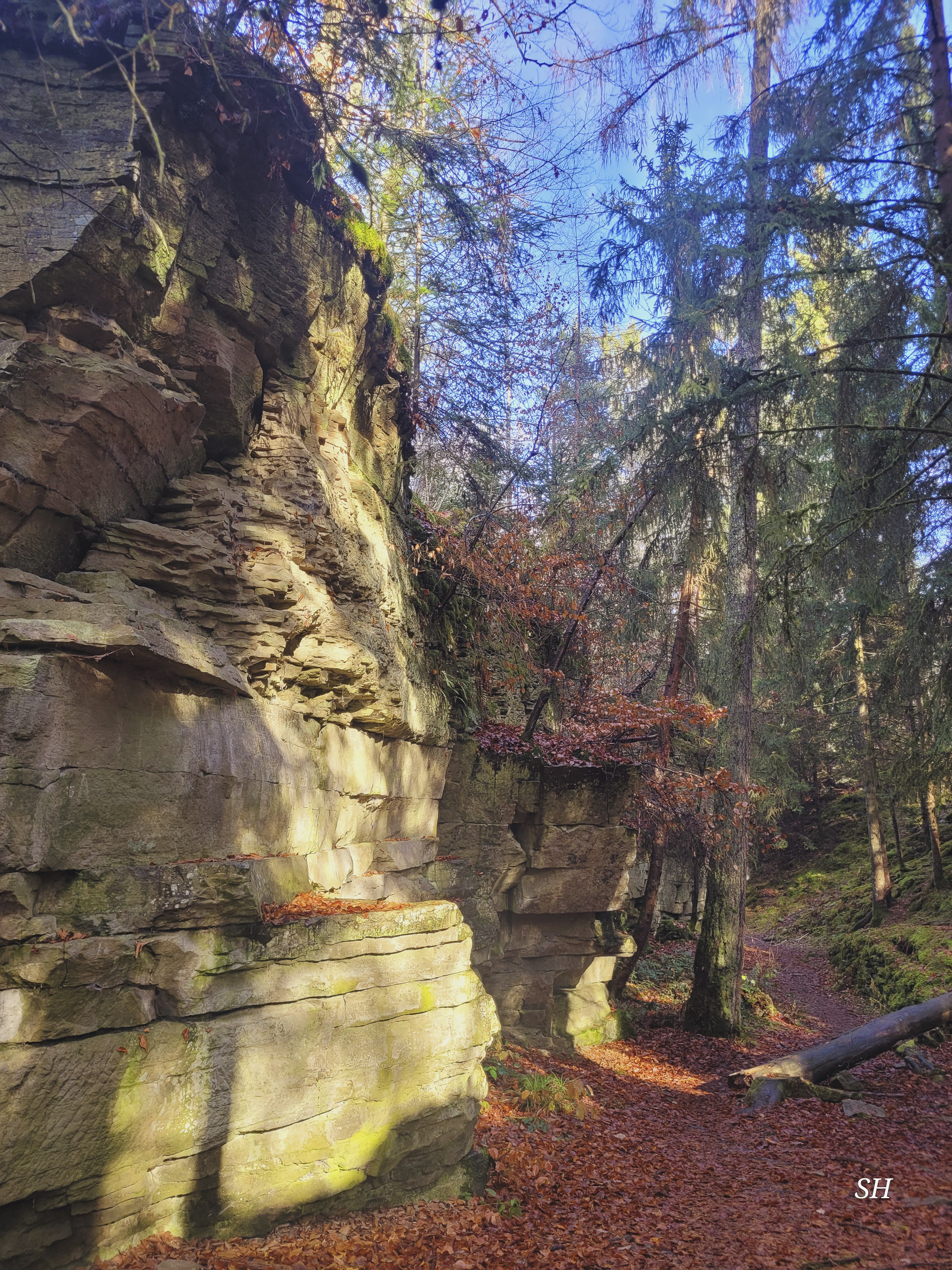 20251129122001 20251129 122000